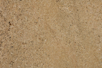 limeston shell ston from Cádiz España