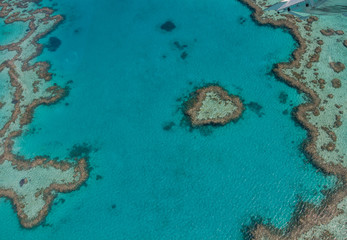 vue aérienne à basse altitude, de la grande barrière de corail, en australie
