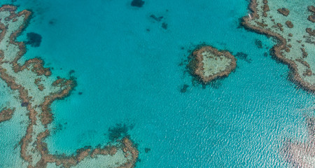 vue aérienne à basse altitude, de la grande barrière de corail, en australie