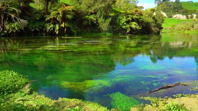 Blue Spring, New Zealand