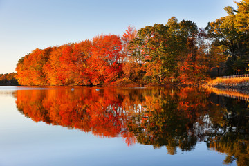 Beautiful Fall Foliage of New England at sunset, Boston Massachusetts.
