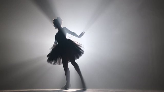 Professional ballerina dancing ballet in spotlights smoke on big stage.