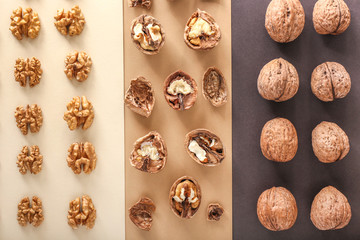 Tasty walnuts on color background