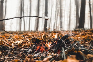 Marshmallow on skewers is fried at the stake. Toasted marshmallows open flame on skewer
