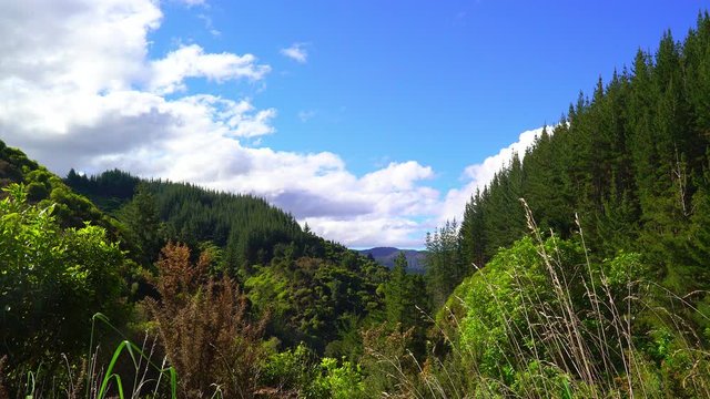 View on mountains and forrest