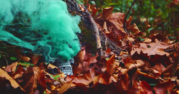 A skull in the woods set against a tree with green smoke pouring out of the eye holes. 4k, shot 60 fps