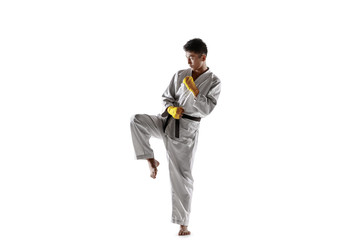 Confident korean man in kimono practicing hand-to-hand combat, martial arts. Young male fighter with black belt training isolated on white studio background. Concept of healthy lifestyle, sport.