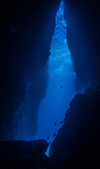 Plongée sous-marine dans la faille sous le rocher du Diamant, en Martinique