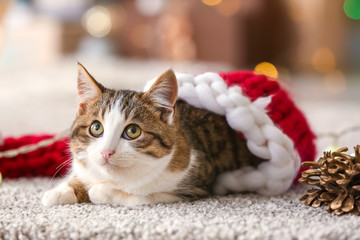 Cute funny cat in Santa hat at home