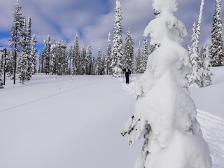 Maintaining An Active Lifestyle During Winter - Cross Country Skiing