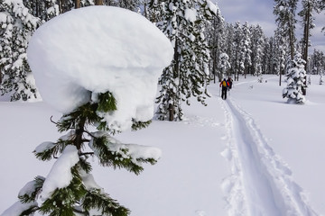 Maintaining An Active Lifestyle During Winter - Cross Country Skiing