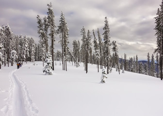 Maintaining An Active Lifestyle During Winter - Cross Country Skiing