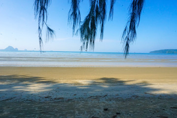 The beach by the sea has trees in Thailand.