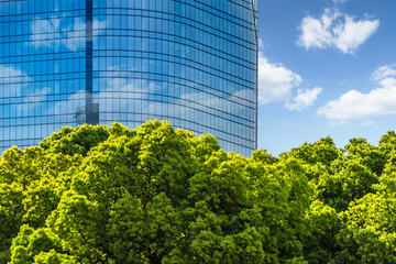 modern glass buildings and green trees
