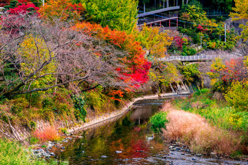 篠栗の紅葉