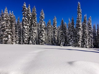 Incredibly Beautiful Deep-Winter Landscape -- Montana