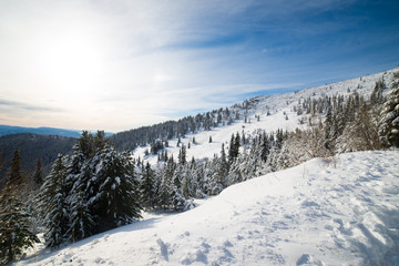Fototapeta na wymiar Frozen snow-covered landscape, fairytale winter in Low Tatras, central Slovakia, Europe