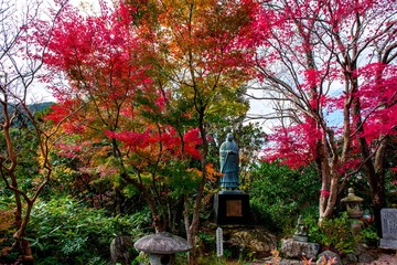 篠栗の紅葉