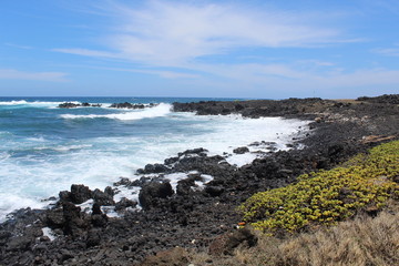 Hawaii Green and Black Coastline