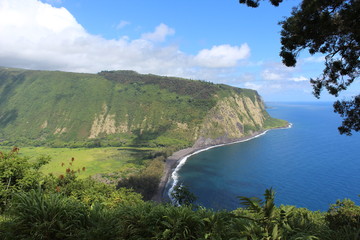 Waipio Valley View