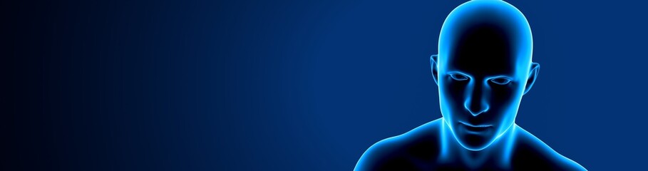 3d illustration of human body head system anatomy