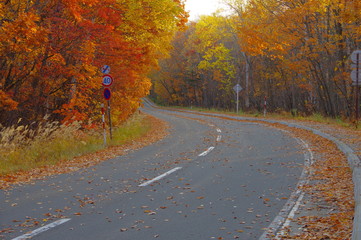 Obraz premium 紅葉の道。弟子屈町、屈斜路、北海道。