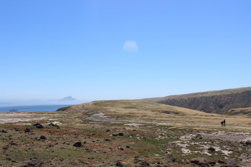 Catalina Island Grassy View