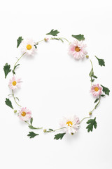 Fototapeta na wymiar floral concept. wreath of pink chrysanthemum flowers and green leaves on a white background. flat lay, copy space, vertical frame
