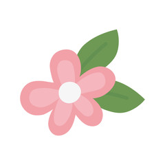 Isolated flower ornament vector design