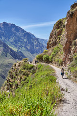 A young woman hiking the Colca Canyon, one of the deepest in the world. Peru