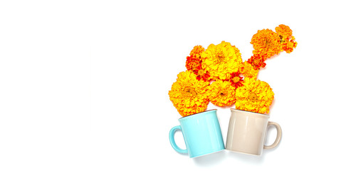 tea cups with fresh orange flowers. fall concept on white background. banner with space for text, top view