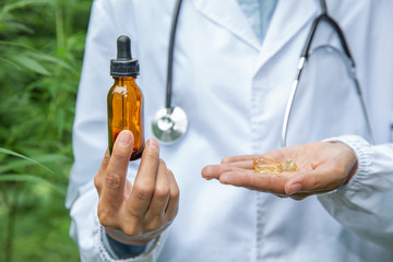A glass bottle containing CBD oil and hemp pellets in the hands of researchers or doctors. The concept of CBD hemp oil, hemp products, close-up