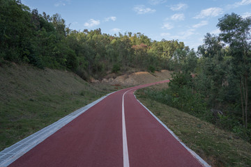 Winding red asphalt path in rural woods perspective landscape