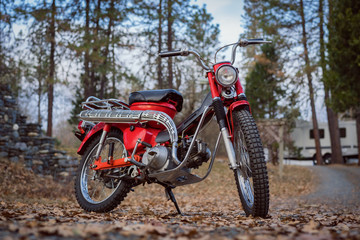 Fototapeta na wymiar Classic 1969 red motorcycle in the woods in Southern Oregon