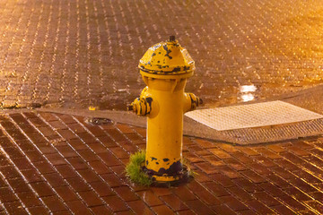 We brick sidewalk and streets with yellow fire hydrant in the center