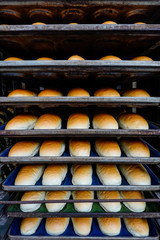 Istanbul, Turkey Fresh bread on trays at a bakery shop