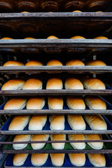 Istanbul, Turkey Fresh bread on trays at a bakery shop