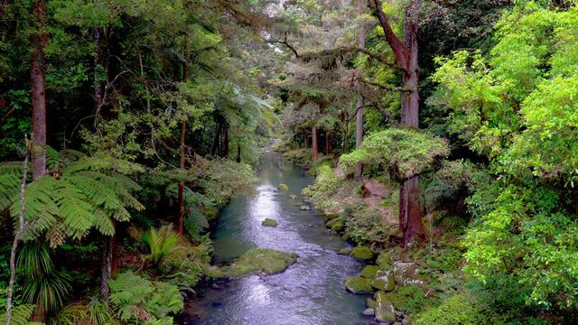 Whangarei Falls in New Zealand