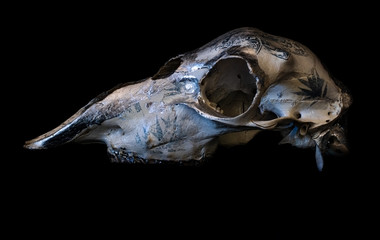 Decorated sheep skull