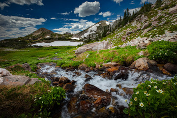 A meandering stream in the Snowy Range Mountain alpine landscape of the Medicine Bow National Forest