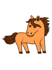 reiten niedliches pony 