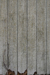 Fondo de madera con ramita seca