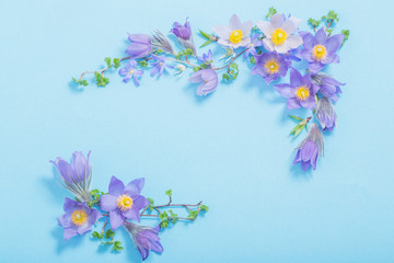 Obraz na płótnie Canvas beautiful spring flowers on blue background