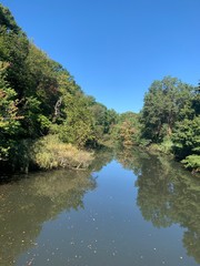 lake in forest