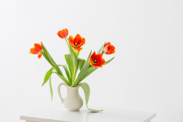 tulips in vase on white background