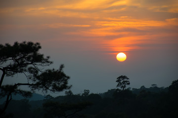 silhouette concept; Sunset View Point at Phu Ruea National Park, Loei, Thailand, Golden sky background, twilight sky after sunset.