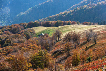 Autumn scenery in the Ukrainian Carpathian Mountains with a tourist girl with a backpack
