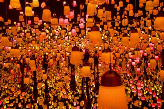 TeamLab Borderless Digital Art Museum