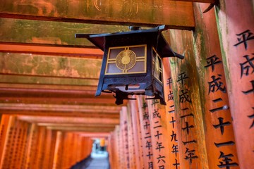 Orange gates at Fushima-Inari Taisha Shrine in Kyoto, Japan
