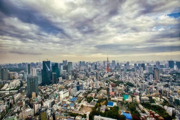 Fototapeta na wymiar View of Tokyo
